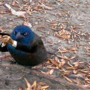 Meet your Posher, Robert